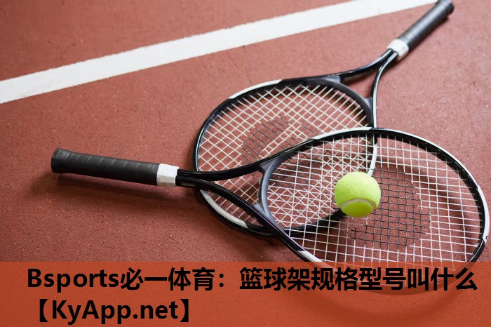 Bsports必一体育：篮球架规格型号叫什么