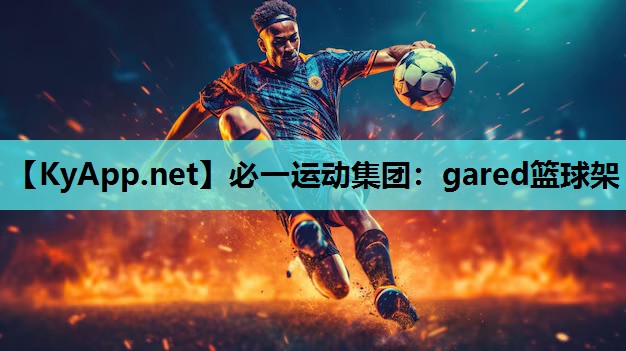 必一运动集团：gared篮球架
