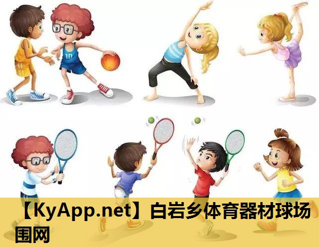 白岩乡体育器材球场围网
