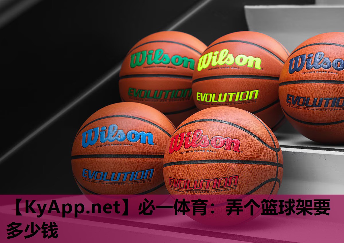 必一体育：弄个篮球架要多少钱