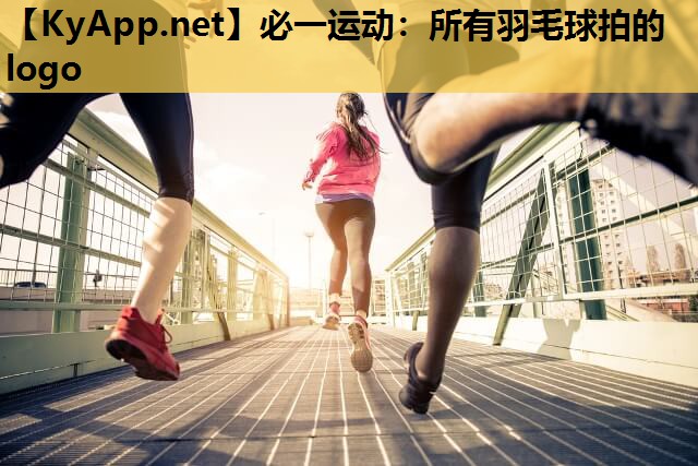 必一运动：所有羽毛球拍的logo