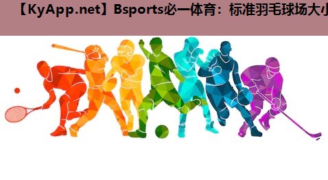 Bsports必一体育：标准羽毛球场大小
