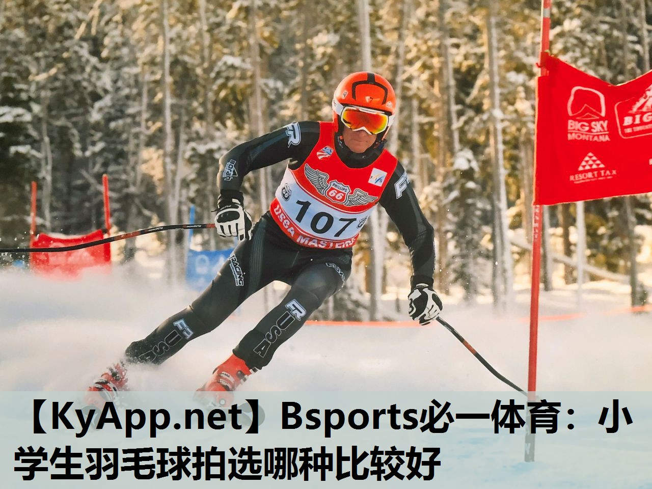Bsports必一体育：小学生羽毛球拍选哪种比较好