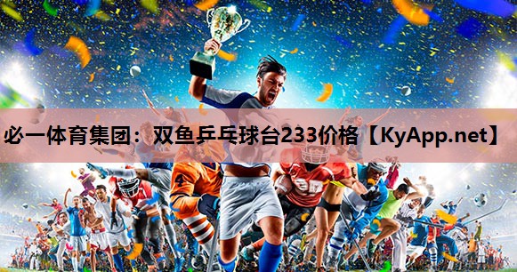 必一体育集团：双鱼乒乓球台233价格