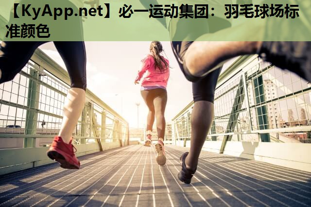 必一运动集团：羽毛球场标准颜色