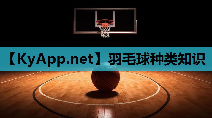 羽毛球种类知识