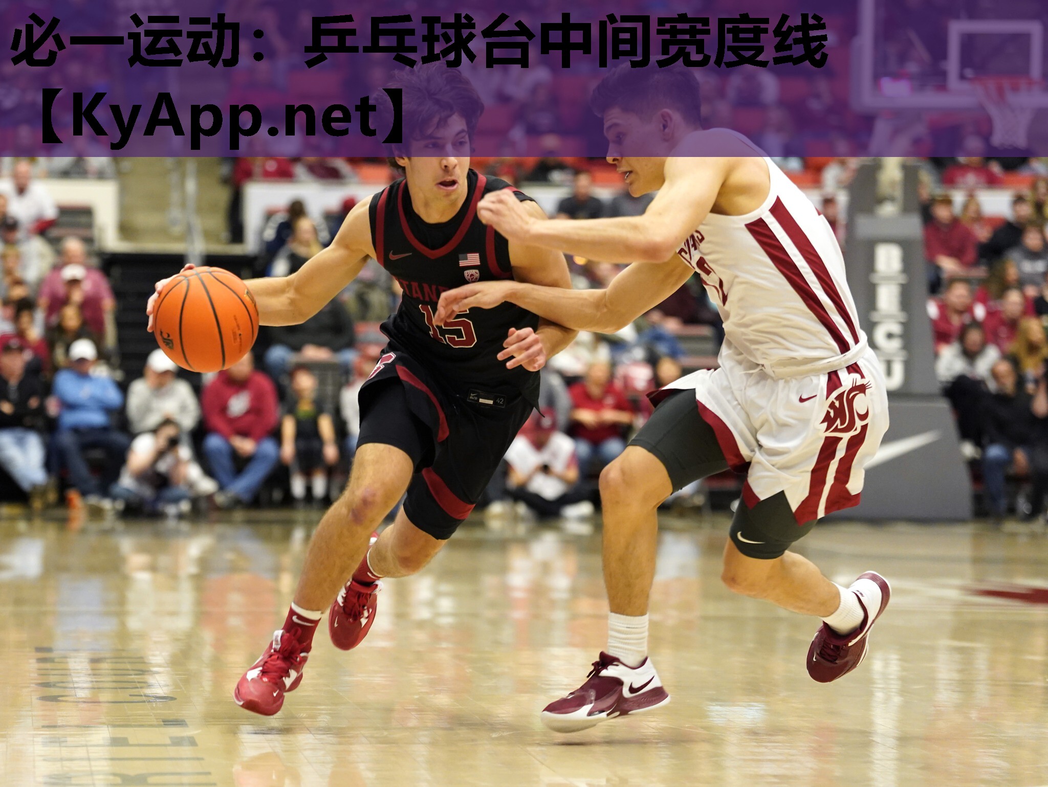 乒乓球台中间宽度线