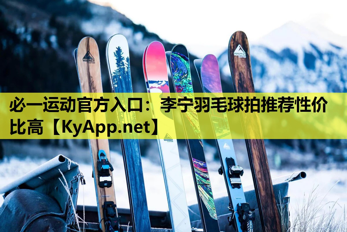 李宁羽毛球拍推荐性价比高