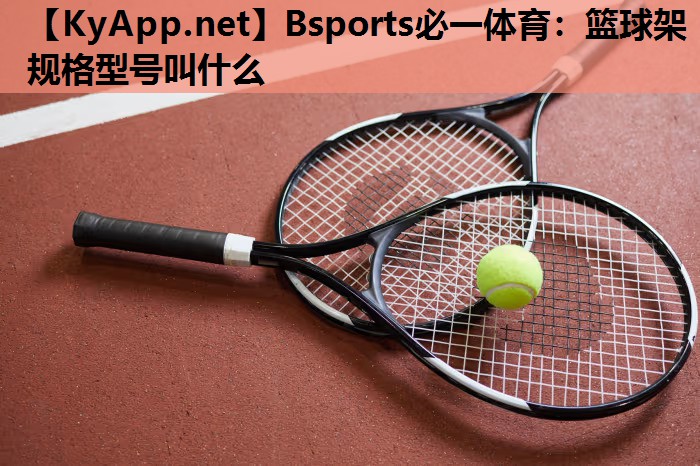 篮球架规格型号叫什么