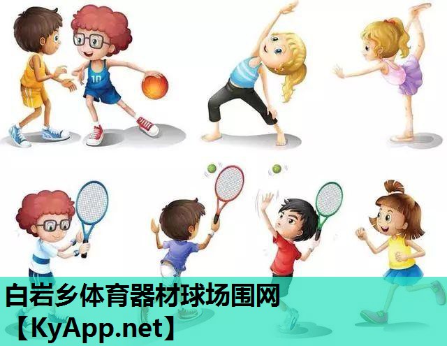 白岩乡体育器材球场围网
