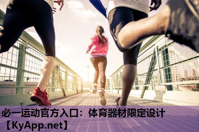 体育器材限定设计