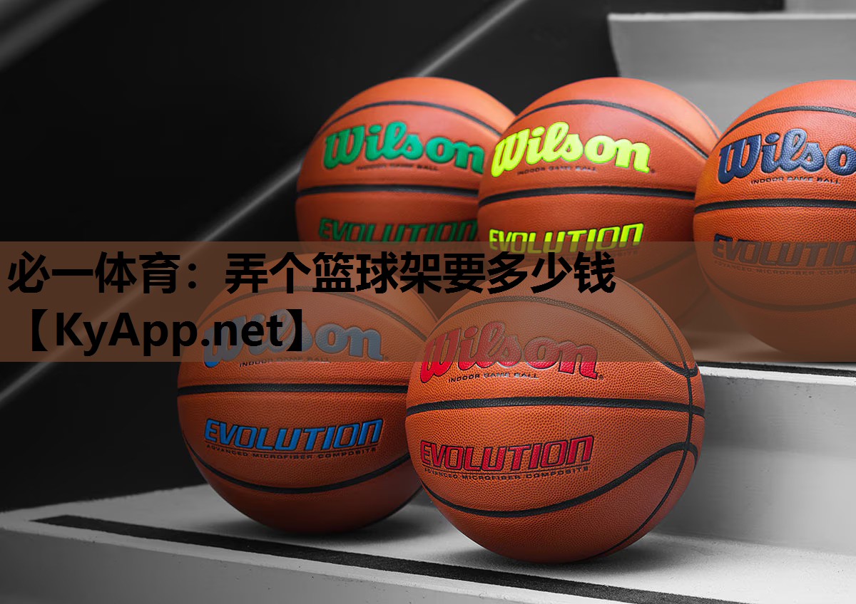 弄个篮球架要多少钱