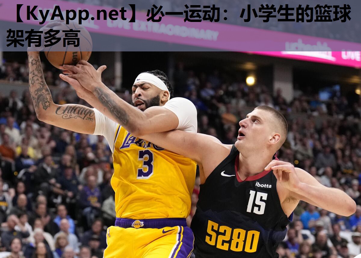 小学生的篮球架有多高