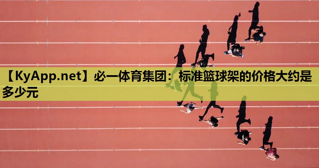 标准篮球架的价格大约是多少元