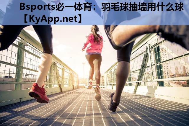 羽毛球抽墙用什么球