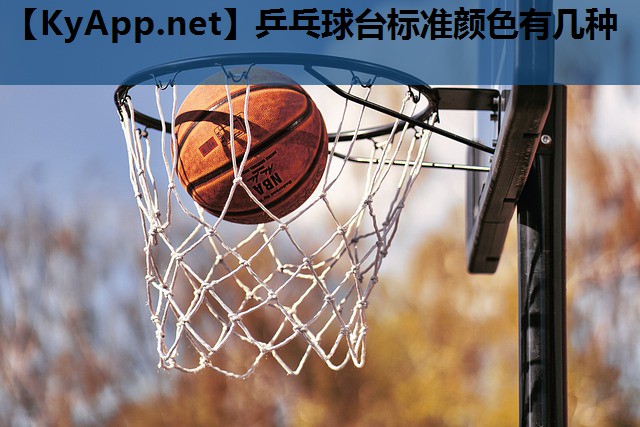 乒乓球台标准颜色有几种