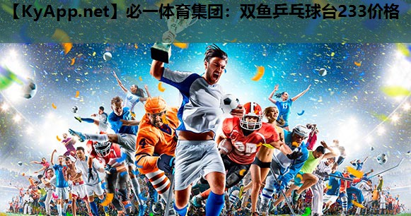 双鱼乒乓球台233价格
