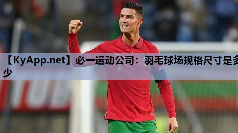 羽毛球场规格尺寸是多少