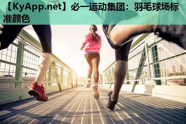羽毛球场标准颜色