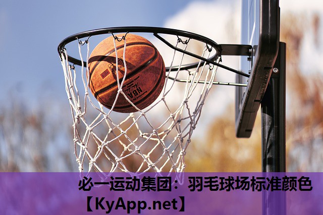 羽毛球场标准颜色